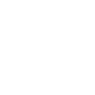 Shaw floors logo