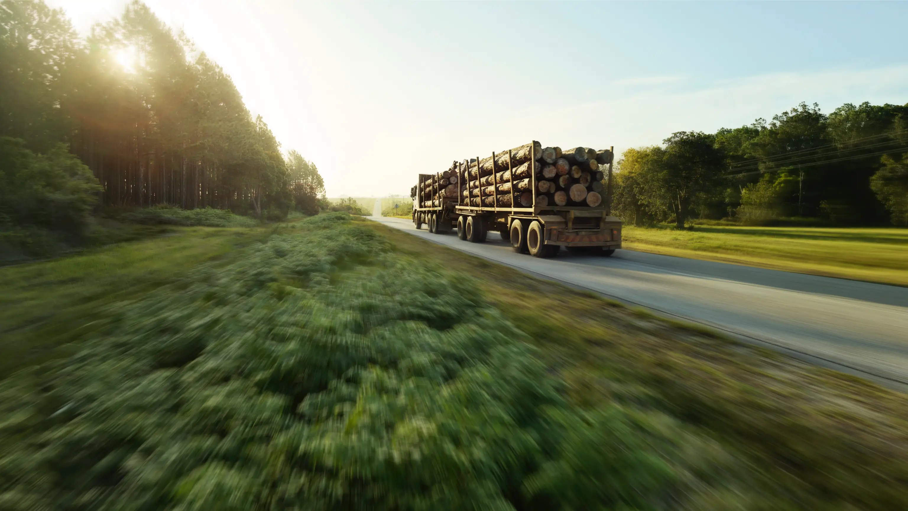 Logging truck traveling down Georgia state highway.