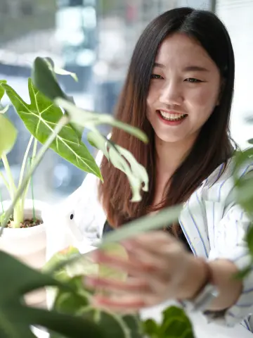 Jing Wang, Designer at Sagepath, tending to houseplant.